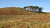 Крепость на холме Древа - geograph.org.uk - 1031537.jpg