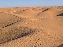 Dune, Grand erg près de Ksar Ghilane, Tunisien, 2004.jpg