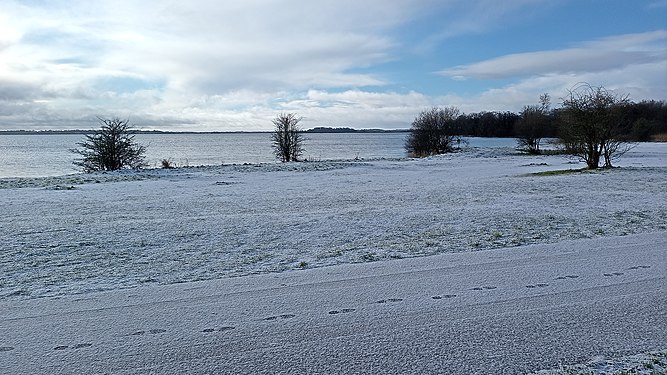 Lough Ennell icy morning