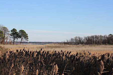 Eastern neck island