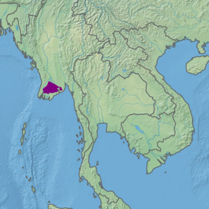 Ecoregion territory (in purple)