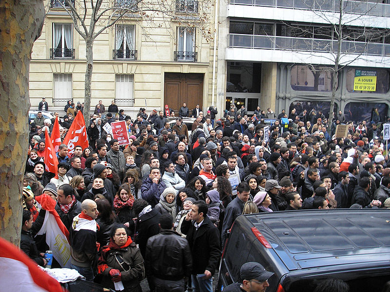 File:Egypt solidarity protest in Paris, 29 January 2011 007.jpg