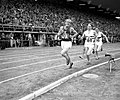 Vignette pour Athlétisme aux Jeux olympiques d'été de 1952