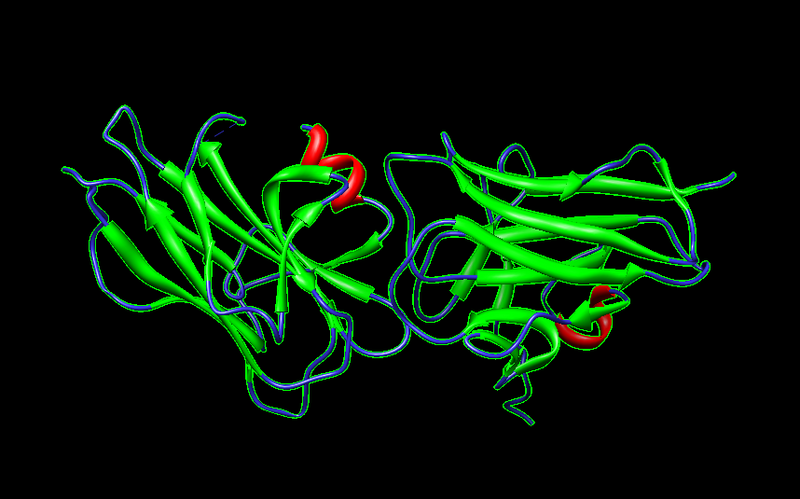 File:Estructura cristalina del dominio N-Reelin de F-spondin.png