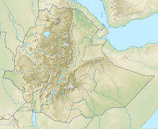 Sork Ale is located in Ethiopia