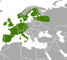 European Hedgehog area2.png