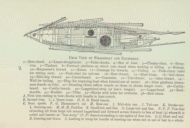 File:FMIB 47506 Deck View of Whaleboat and Equipment.jpeg