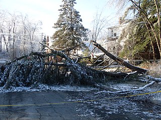 <span class="mw-page-title-main">December 2008 Northeastern United States ice storm</span> American natural disaster