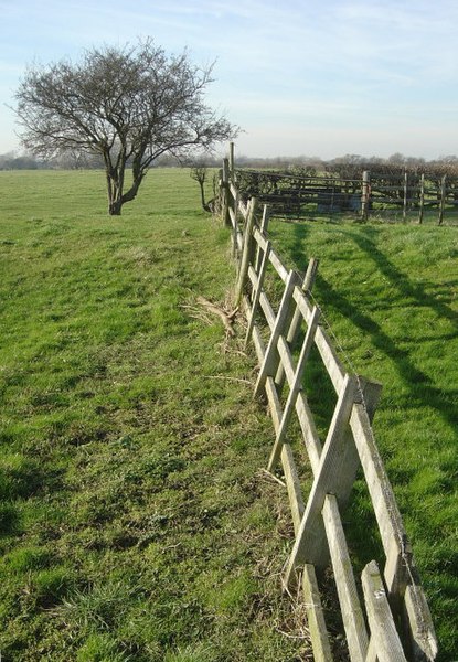 File:Fence and fields - geograph.org.uk - 687408.jpg