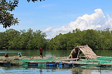 Men working on a floating structure mostly made of bamboo and fishing nets