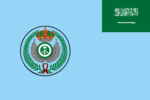 Flag of the Royal Saudi Air Force.png