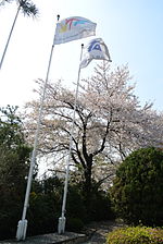 Flags Kukkiwon Seoul.JPG