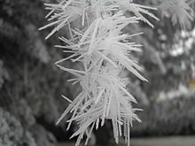 Soft rime Fleurgivre-1.jpg