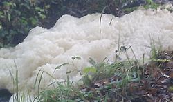 Foamy facts: When is foam on our waterways natural vs. pollution? - Middle  Susquehanna Riverkeeper