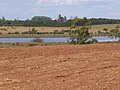 Forestación "Ensanche Sauce" - panoramio.jpg