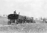 Thumbnail for File:Freighting on Yukon Highway near Goldstream-cropped.jpg