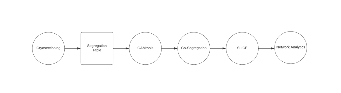 flowchart showing a general process of GAM data analysis. Circles represent a process and squares represent data. GAM flowchart(1).png