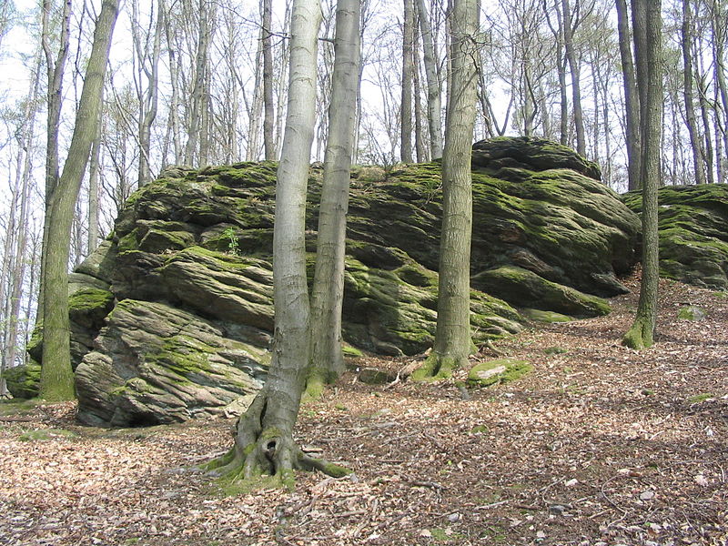 File:GNEIS-FELSGRUPPE Böllsteiner Höhe.JPG