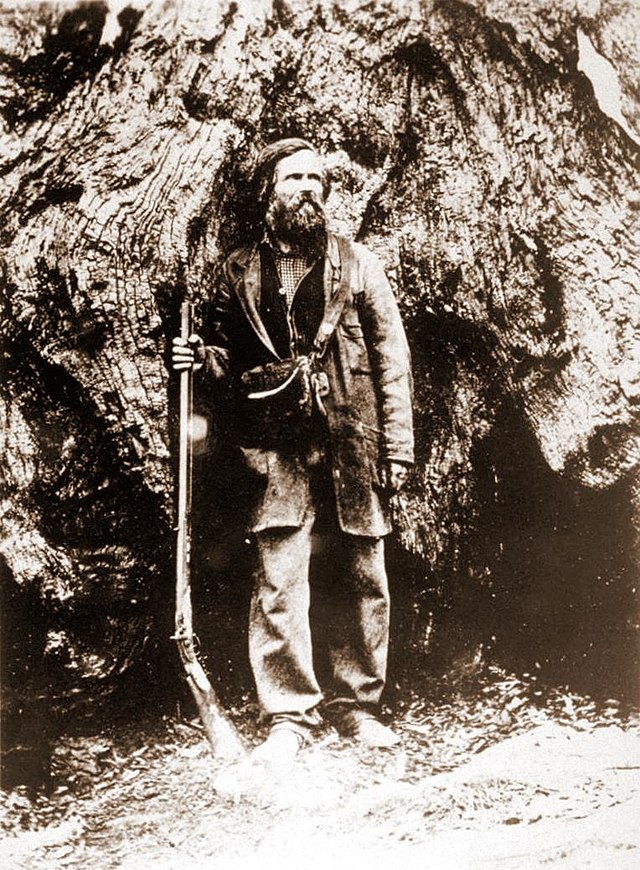 File:Galen_Clark_in_the_Big_Tree_Grove.jpeg