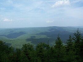 Gaudineer Knob.jpg 