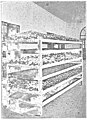 Gioda - Il baco da seta,1926 (page 97 crop).jpg