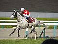 Schläger mit einer roten Schleife im Schweif gekennzeichnet, Hanshin Racecourse, 2014