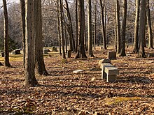Golden hour light on benches and graves in Amherst's Wildwood Cemetery Gravestones and benches at Wildwood Cemetery.jpg
