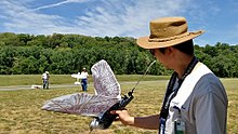 Skyonme Spybird ornithopter HHAMS Planes 2016 Skyonme Spybird Fred 01 FRD.jpg