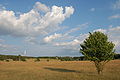 * Nomination Nature reserve Hainberg --Simonizer 23:58, 13 October 2007 (UTC) * Decline CW tilt (see chimney). Lycaon 00:19, 14 October 2007 (UTC) I don't think it minor problem enough to decline. --Beyond silence 13:07, 14 October 2007 (UTC) Tilt is easily corrected, and as such always relevant. And BTW, if you don't agree, then move to CR. Lycaon 16:31, 14 October 2007 (UTC) No contest forthcoming. Lycaon 05:27, 18 October 2007 (UTC)