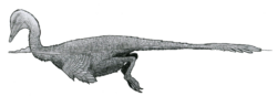 Vignette pour Halszkaraptor