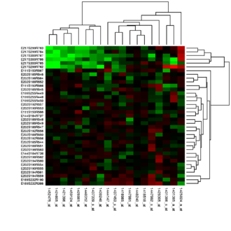 Heat map Heatmap.png