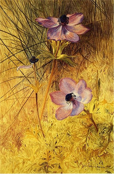 File:Henry Roderick Newman- Florentine Wild Anemones (15805123890).jpg