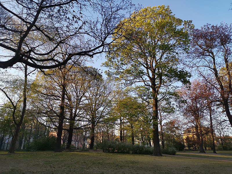 File:Hermann Seidel Park Dresden 2020-04-19 2.jpg