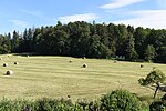 Hohenstein (Murrhardter Wald)