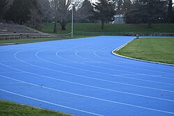 Home Straight All Weather Track, Colin Pugh Sportsbowl, Masterton 01.jpg