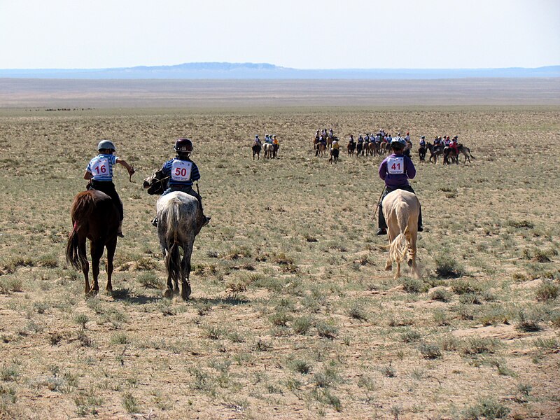 File:Horce Race in Gobi Desert - Dornogovi Province - Mongolia (6248487817).jpg