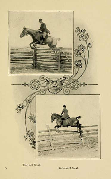 File:Horse and hound BHL20612419.jpg