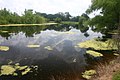 Horseshoe Lake, Brazos Bend State Park, Texas