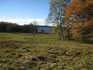 Hummelmora ängar på hösten.