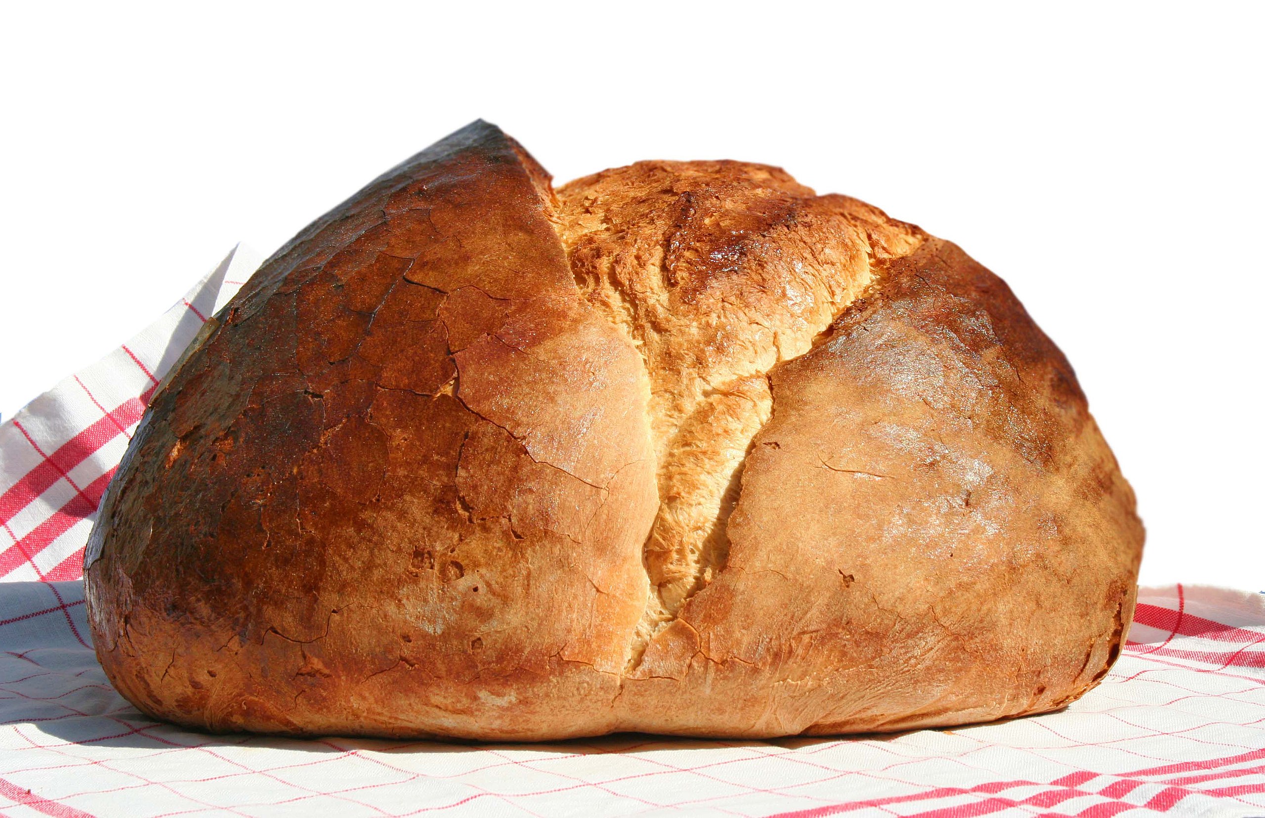 File:Challah bread on a pan.jpg - Wikimedia Commons