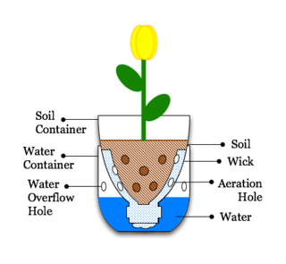 Sub-irrigated planter