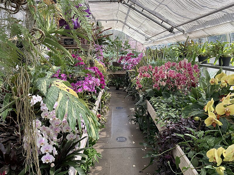 File:Interior of the Greenhouses at Newfields.jpg