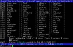 Screenshot of Irssi