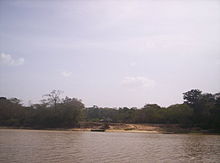 Isola di Ankoko alla confluenza dei fiumi Cuyuni e Wenamu.