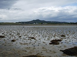 Fegart yaqinidagi orol Roy - geograph.org.uk - 1431203.jpg