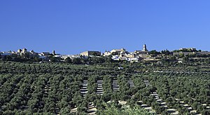 J23 204 Úbeda (cropped).jpg