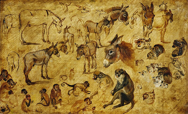 File:Jan Brueghel (I) - Studies of animals (donkeys, cats and monkeys.jpg