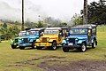 * Nomination Jeeps Willys in Cocora Valley, Colombia --Bgag 04:47, 18 January 2021 (UTC) * Promotion  Support Good quality -- Johann Jaritz 06:19, 18 January 2021 (UTC)