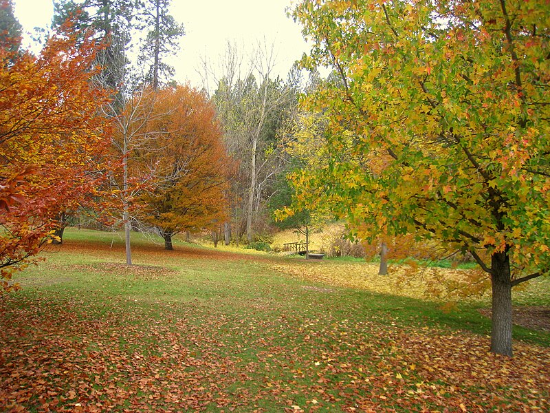 File:John A. Finch Arboretum - IMG 6863.JPG