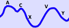 The Jugular Venous Pressure Waveform Jugular Venous Pulse.png